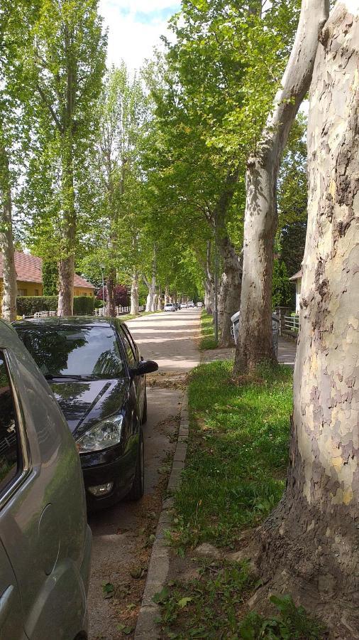 Heni Apartman นาชคานีจา ภายนอก รูปภาพ